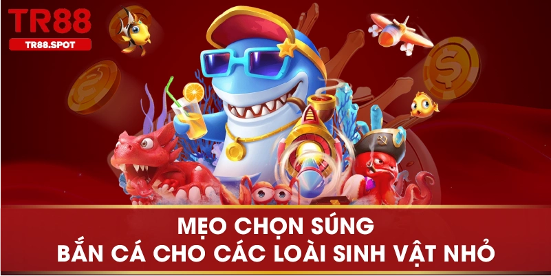 Mẹo chọn súng bắn cá cho các loài sinh vật nhỏ